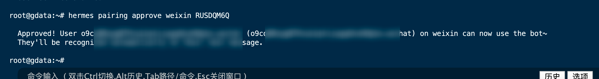 image-1782555041931